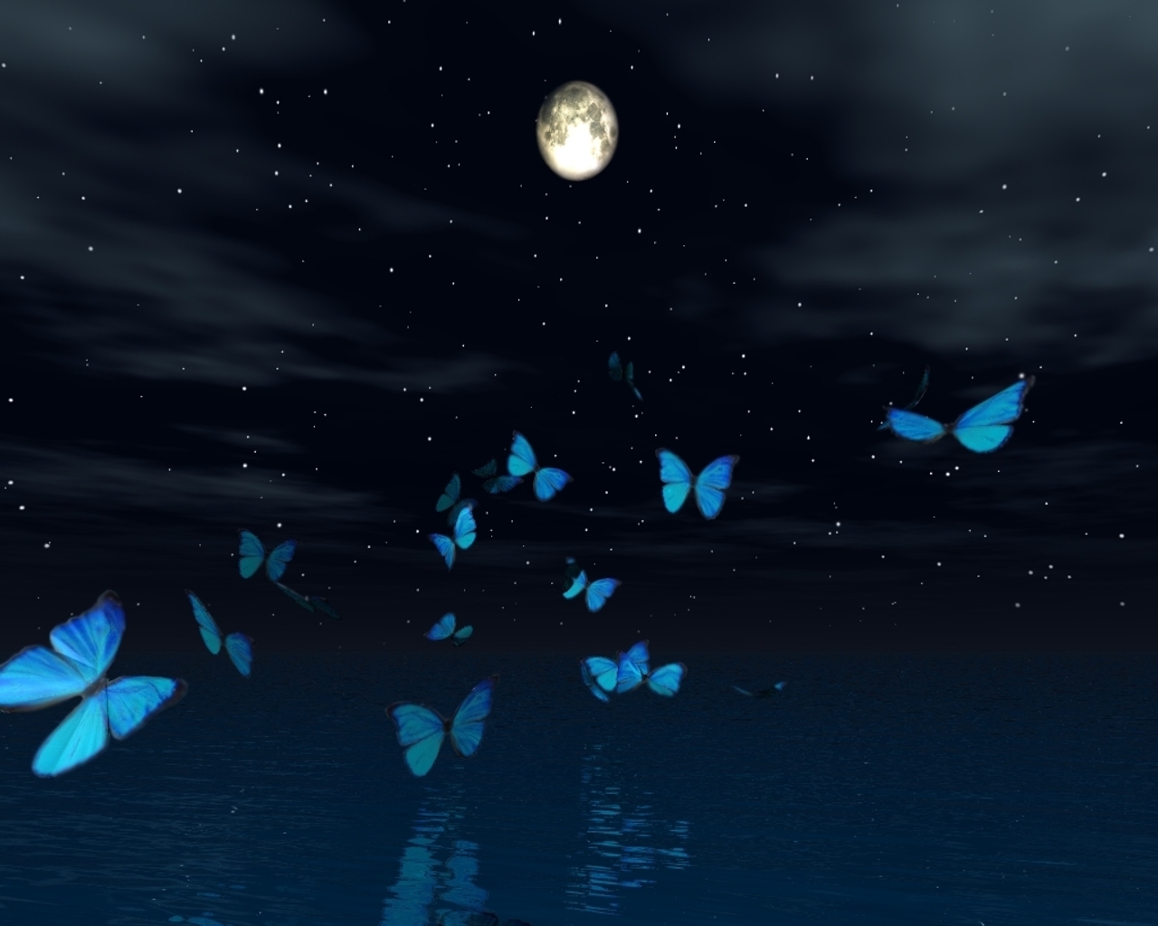 Бабочки летают ночью